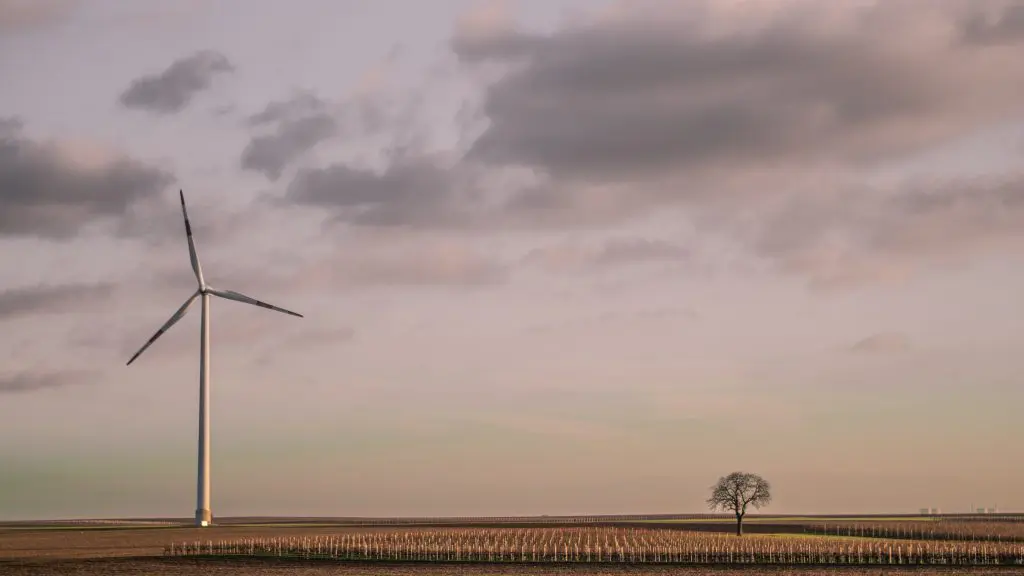 Eolienne dans un champ